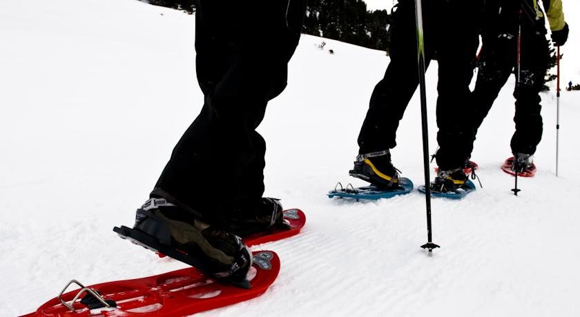 Himalaia Pas - Photo 35